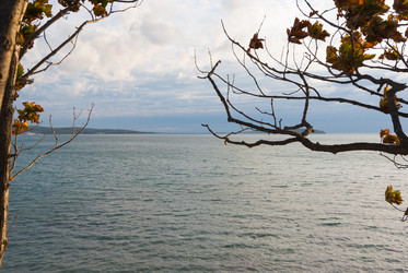 Similar image 20980116