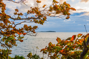 Similar image 20980120