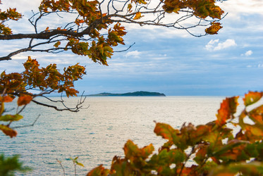 Similar image 20980121