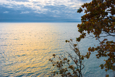 Similar image 20980122