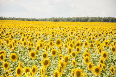 Similar image 20983826