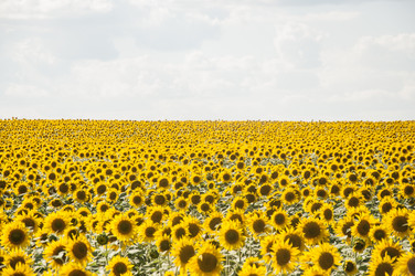 Similar image 20983888