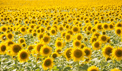 Similar image 20983889