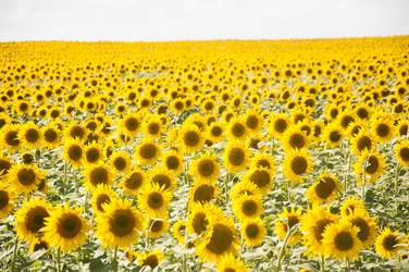 Similar image 20983890