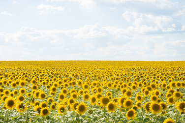 Similar image 20983891