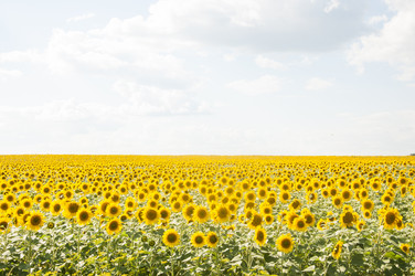 Similar image 20983894