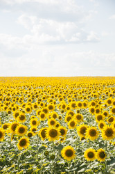 Similar image 20983895