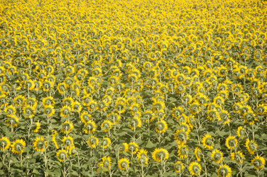 Similar image 20983897