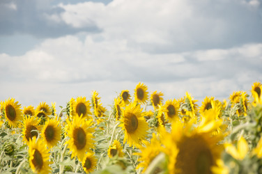 Similar image 20983901