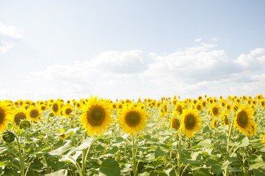 Similar image 20983905