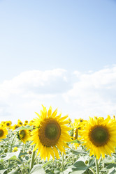 Similar image 20983906