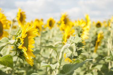 Similar image 20983909