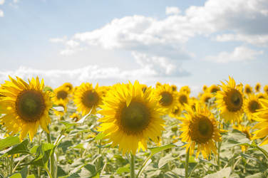 Similar image 20983911