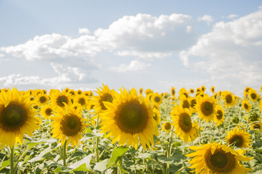 Similar image 20983912