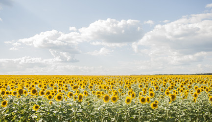 Similar image 20983913