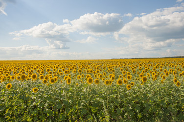 Similar image 20983914