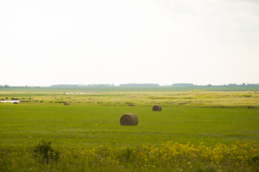 Similar image 20983921