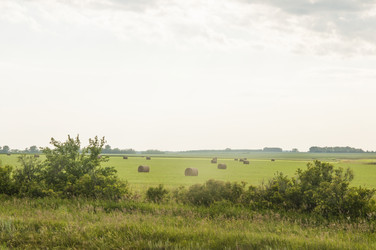 Similar image 20983923