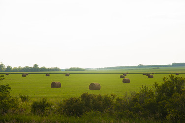 Similar image 20983925