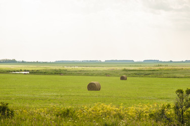 Similar image 20983928