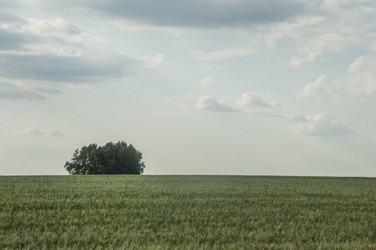 Similar image 20983930