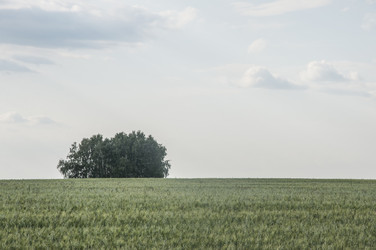 Similar image 20983931