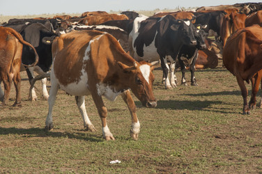 Similar image 20983935