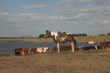 Similar image 20983936