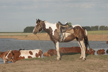 Similar image 20983937