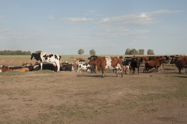 Similar image 20983706