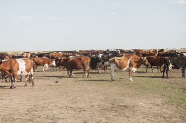 Similar image 20983708