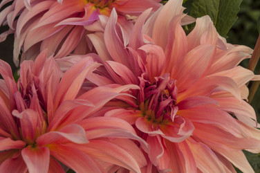 Similar image 20983713