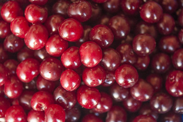 Similar image 20983718