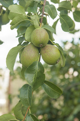 Similar image 20983719