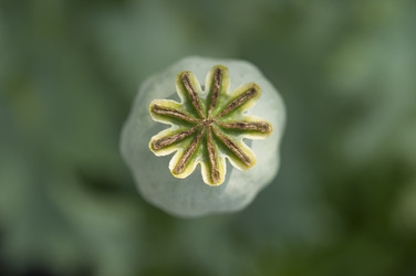 Similar image 20983720