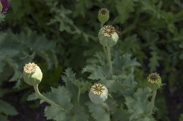 Similar image 20983721