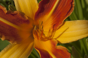 Similar image 20983722