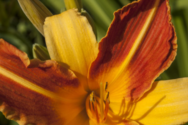 Similar image 20983723