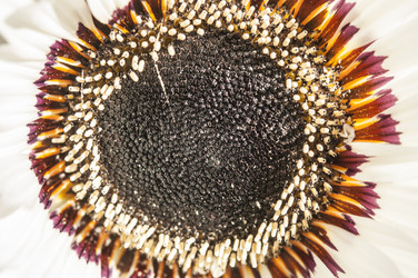 Similar image 20983727