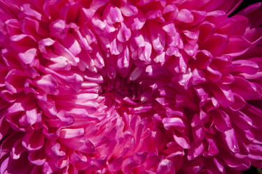 Similar image 20983728