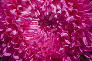 Similar image 20983729