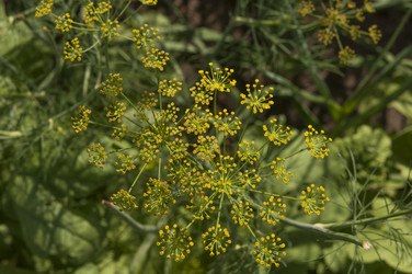 Similar image 20983732