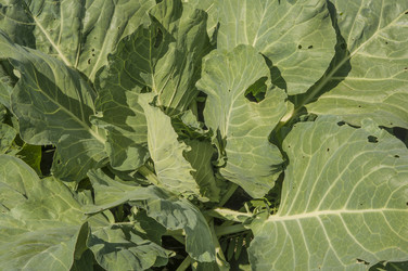 Similar image 20983733