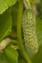 Similar image 20983738