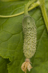 Similar image 20983739