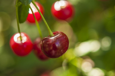 Similar image 20983742