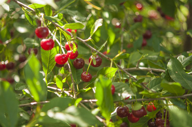 Similar image 20983743