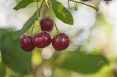 Similar image 20983744