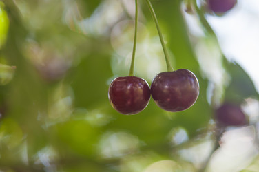 Similar image 20983827