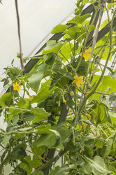 Similar image 20983828